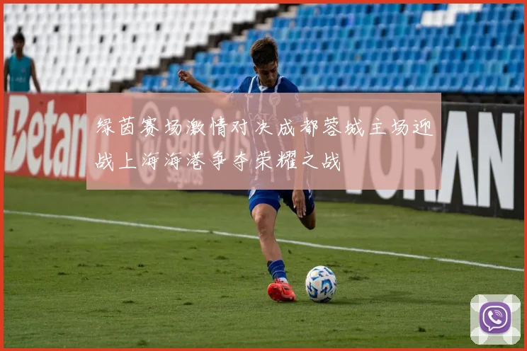 绿茵赛场激情对决成都蓉城主场迎战上海海港争夺荣耀之战